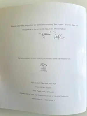 Teun Voeten - New York New York kopen? Bied vanaf 15!