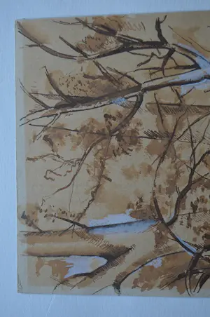 Onbekend - 'Bos' kopen? Bied vanaf 20!