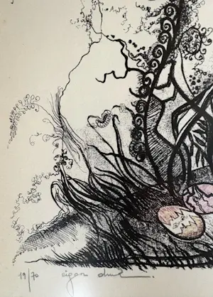 Onbekend - Je kunt een vogel worden ……. kopen? Bied vanaf 30!