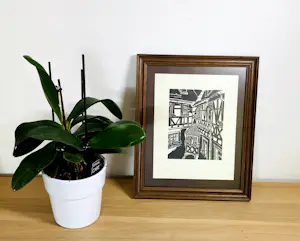 Buy Onbekend - Hof Dettelbach? Bid from 20!
