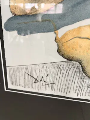 Salvador Dali - "Mémoires de Casanova" kopen? Bied vanaf 80!