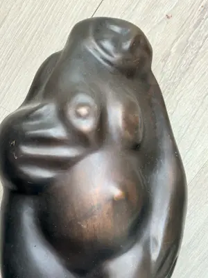 Theo Mackaay - Pomona kopen? Bied vanaf 600!