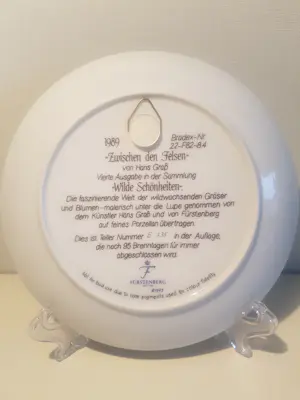 Furstenberg - Zwischen den Felsen kopen? Bied vanaf 30!