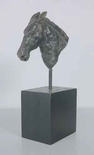 Brons (Onbekend) - Paardenhoofd kopen? Bied vanaf 100!