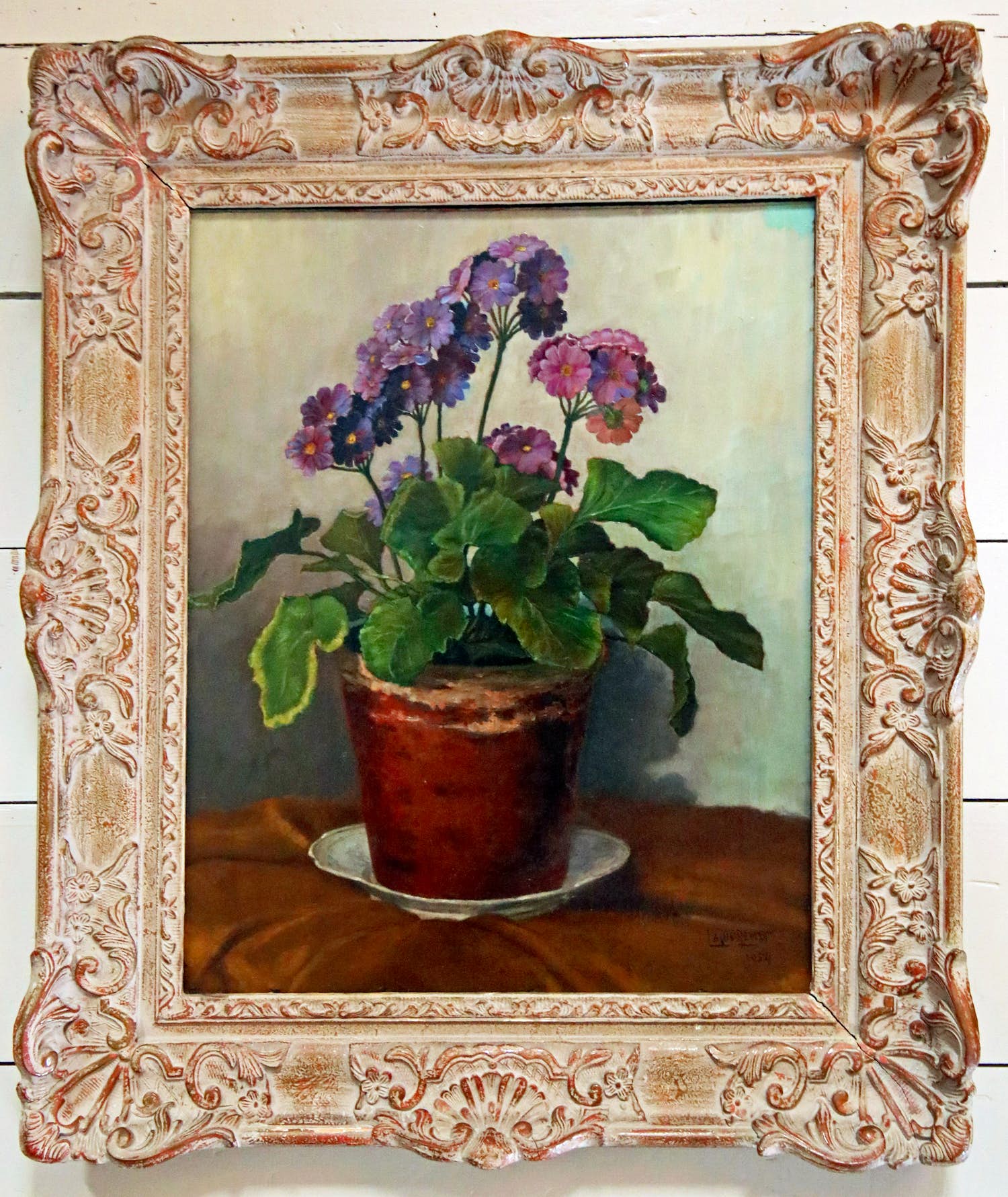 Louis Rempt - primula in pot kopen? Bied vanaf 80!