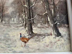 Onbekend - Prachtige fazant in de winter in het bos kopen? Bied vanaf 150!
