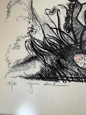 Onbekend - Je kunt een vogel worden ……. kopen? Bied vanaf 30!