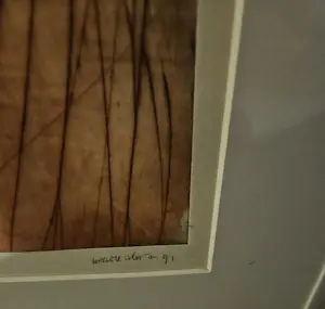 Maaike Alma - Fata Morgana 7 kopen? Bied vanaf 30!