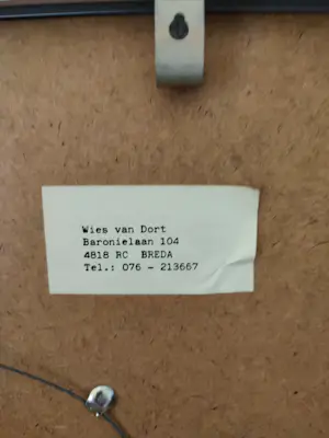 Wies van Dort - Vliegen III kopen? Bied vanaf 40!