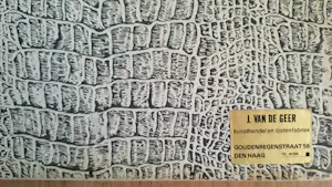 Hendrikus Roodenburg - Den Haag - Hofvijver kopen? Bied vanaf 80!