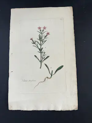 Onbekend - Hand gekleurde gravures uit een boek kopen? Bied vanaf 25!