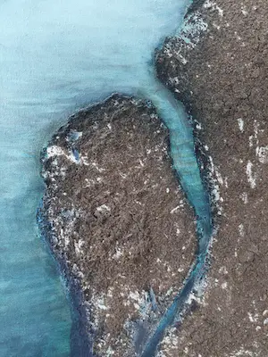 Damian van der Velden - vergezicht kopen? Bied vanaf 150!