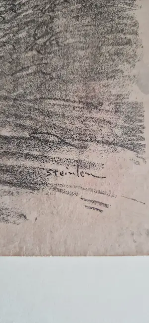 Theophile Alexandre Steinlen - Theophile Alexandre steinlen kopen? Bied vanaf 60!