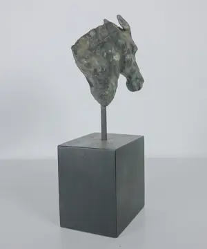 Brons (Onbekend) - Paardenhoofd kopen? Bied vanaf 100!