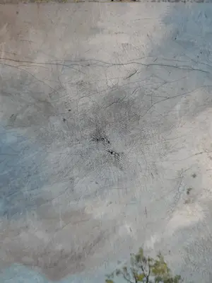 Tjerk Wielinga - Landschapsgezicht kopen? Bied vanaf 30!