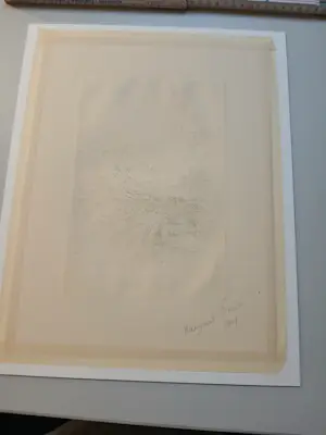 Désiré Naeyaert - Straatje kopen? Bied vanaf 40!