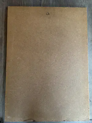 Onbekend - Je kunt een vogel worden ……. kopen? Bied vanaf 30!