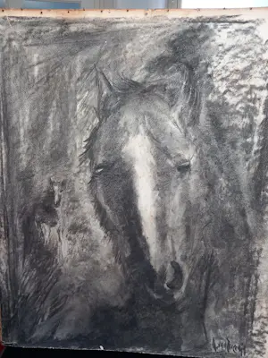 Buy Adrianus van Zeegen - Paardenhoofd? Bid from 60!