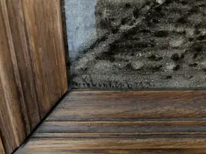 N.V. Haagsche Plateelfabriek Rozenburg - Stadsaanzicht Den Haag? kopen? Bied vanaf 300!