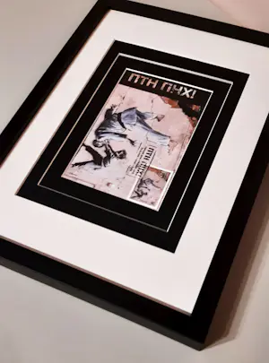 Banksy - Banksy ingelijste Maximum kaart FDC met annuleringsstempel 24.02.2023 Kiev -2023 kopen? Bied vanaf 120!