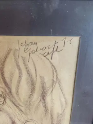 Johan Gobert - sonja is zwanger kopen? Bied vanaf 150!