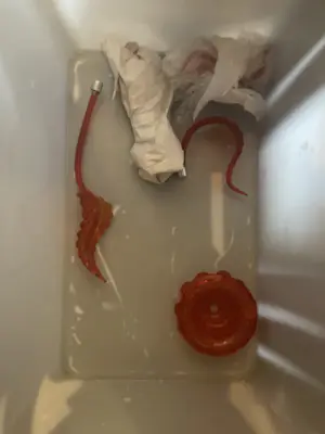 Murano Glas - Murano muurlamp kopen? Bied vanaf 250!