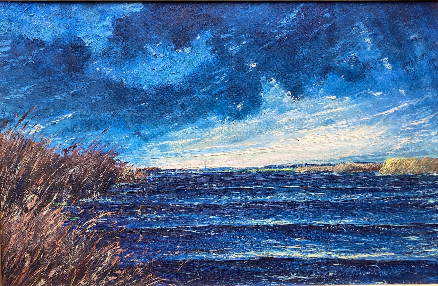 Peter van den Braken - Riet aan de waterkant. Het Wije Kortenhoof kopen? Bied vanaf 100!