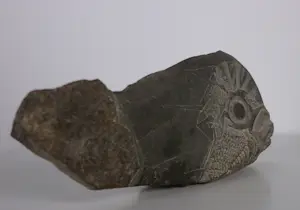 Onbekend - Stenen beeldje van een walvis kopen? Bied vanaf 50!