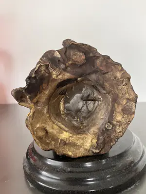 Brons (Onbekend) - Zittende vrouw kopen? Bied vanaf 129!