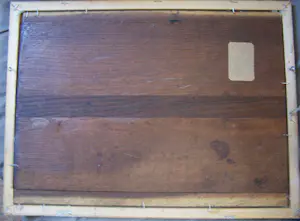 Onbekend - Moederhond met puppies kopen? Bied vanaf 75!