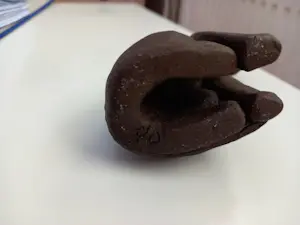 Daniëlle Orelio - Zittende poes kopen? Bied vanaf 1!