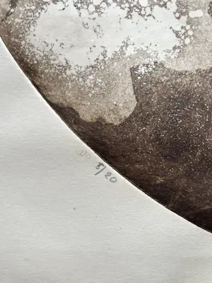 Fons Franken - De Siamees kopen? Bied vanaf 80!