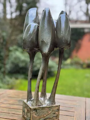 Gert de Rijk - Keramische tulpen kopen? Bied vanaf 300!