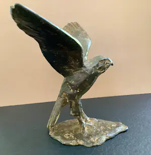 Brons (Onbekend) - Indrukwekkende vogel kopen? Bied vanaf 195!