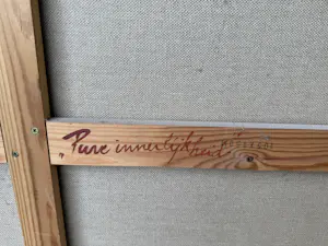 Martijn Herve - Pure Innerlijkheid kopen? Bied vanaf 650!