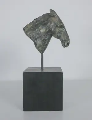 Brons (Onbekend) - Paardenhoofd kopen? Bied vanaf 100!