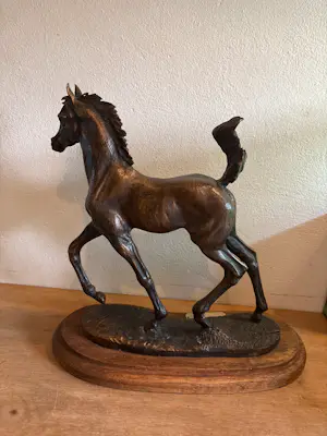 Cary van Dansik - Spirit Spring kopen? Bied vanaf 200!