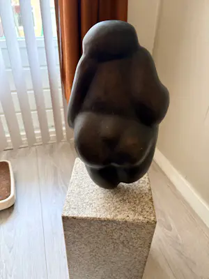 Theo Mackaay - Pomona kopen? Bied vanaf 600!