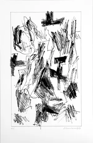 Jan Schoonhoven - Formatie kopen? Bied vanaf 1600!