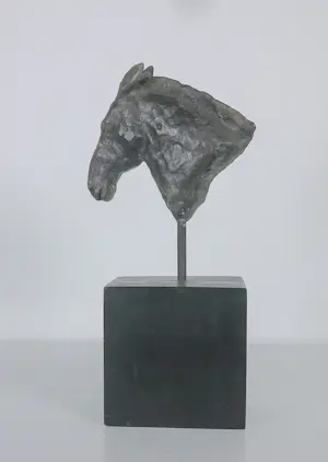Brons (Onbekend) - Paardenhoofd kaufen? Bieten Sie von 100!