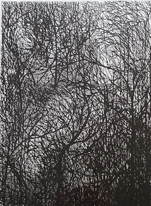 John Hartjes - Ets Hoogdruk - Nacht van de Douanier kopen? Bied vanaf 50!