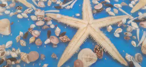 Riccardo Marzi - Model: Ocean Art.616-XST kopen? Bied vanaf 25!