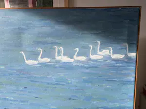 Eric de Gram - Zwanen kopen? Bied vanaf 150!