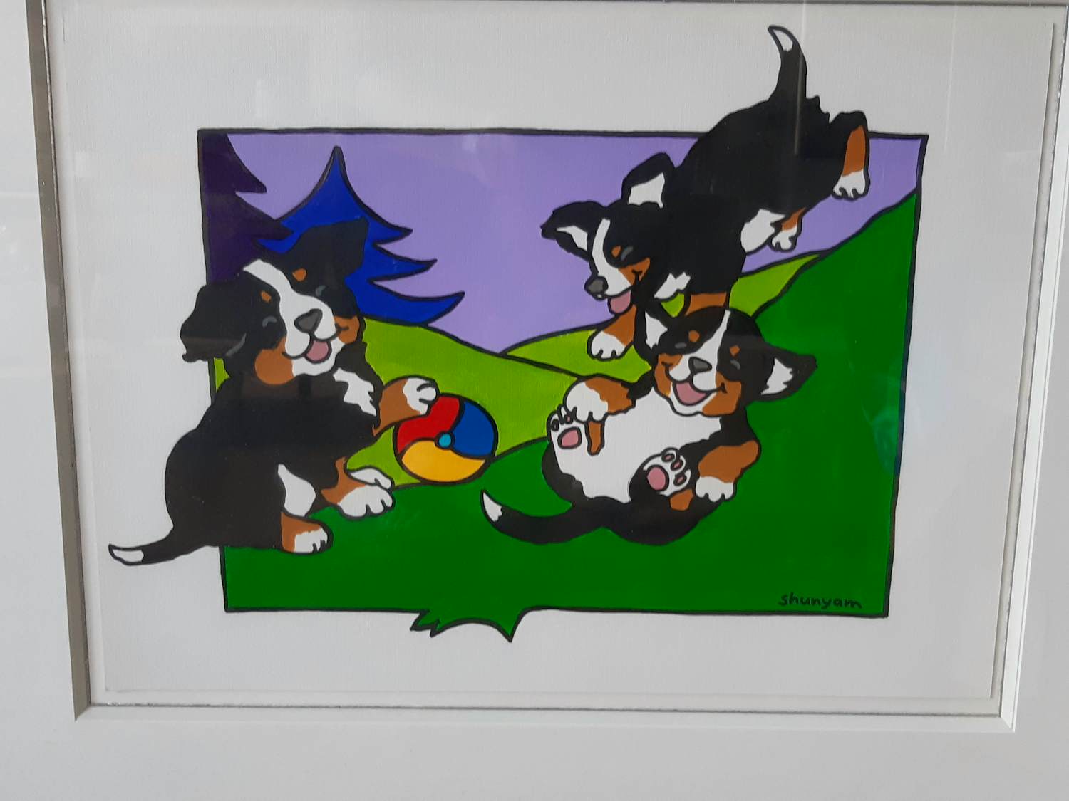 Buy Shunyam - Berner Sennenpups? Bid from 100!