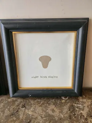 Roy Grayson - night birds singing kopen? Bied vanaf 60!