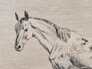 Paulus Potter - Twee Paarden kopen? Bied vanaf 100!