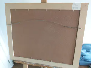 Roger van Belleghem - Geen , proef kopen? Bied vanaf 50!