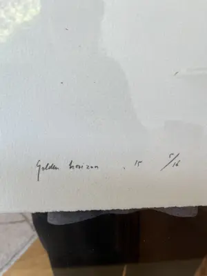 Rob Scholte - Golden Horizon 15/16 kopen? Bied vanaf 140!