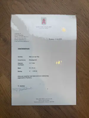 Niek van der Plas - Strandgezicht kopen? Bied vanaf 500!