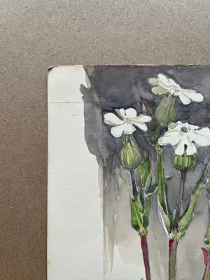 Buy Johan Briede - Botanische kunst? Bid from 65!